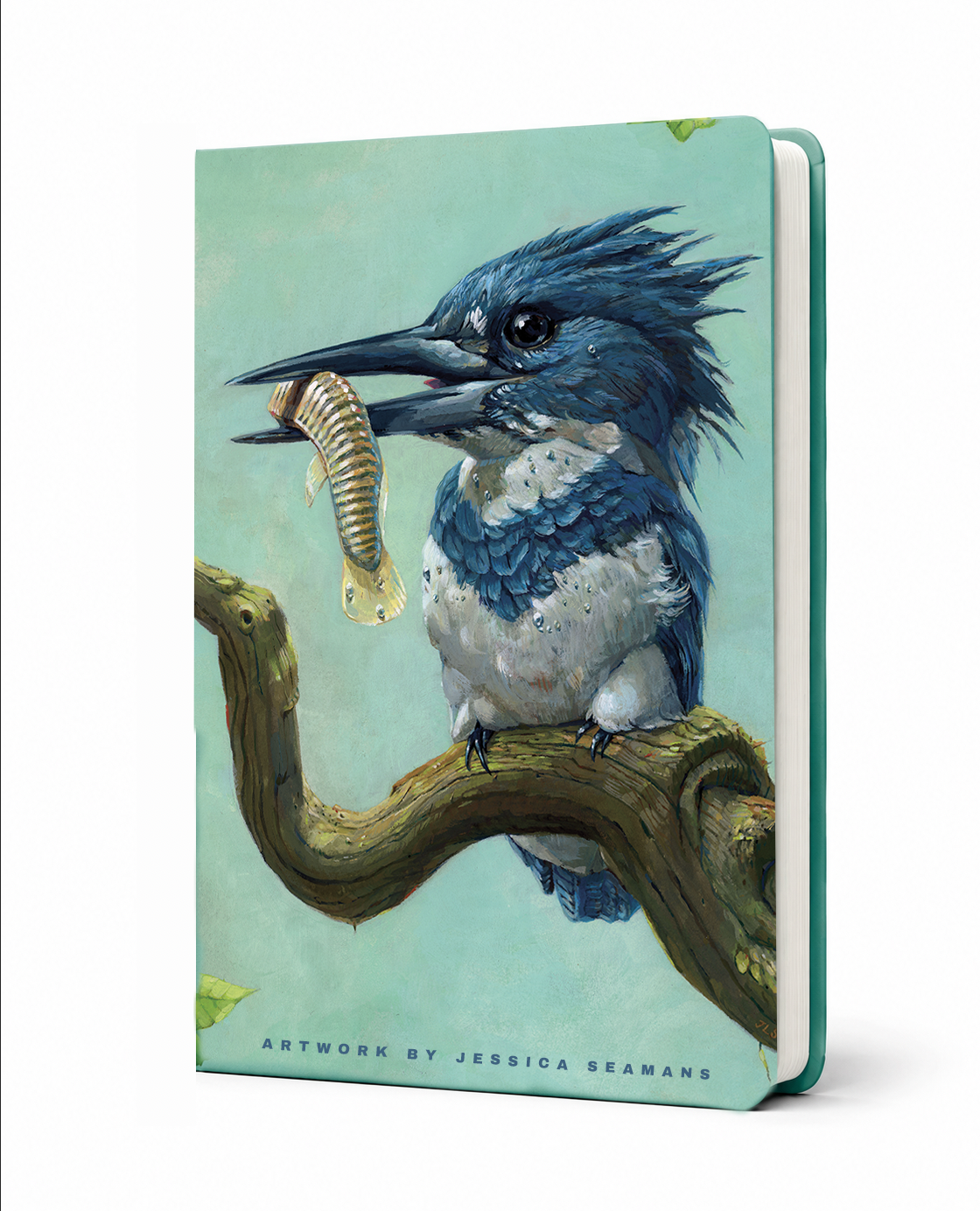 Jessica Seamans- King Fisher