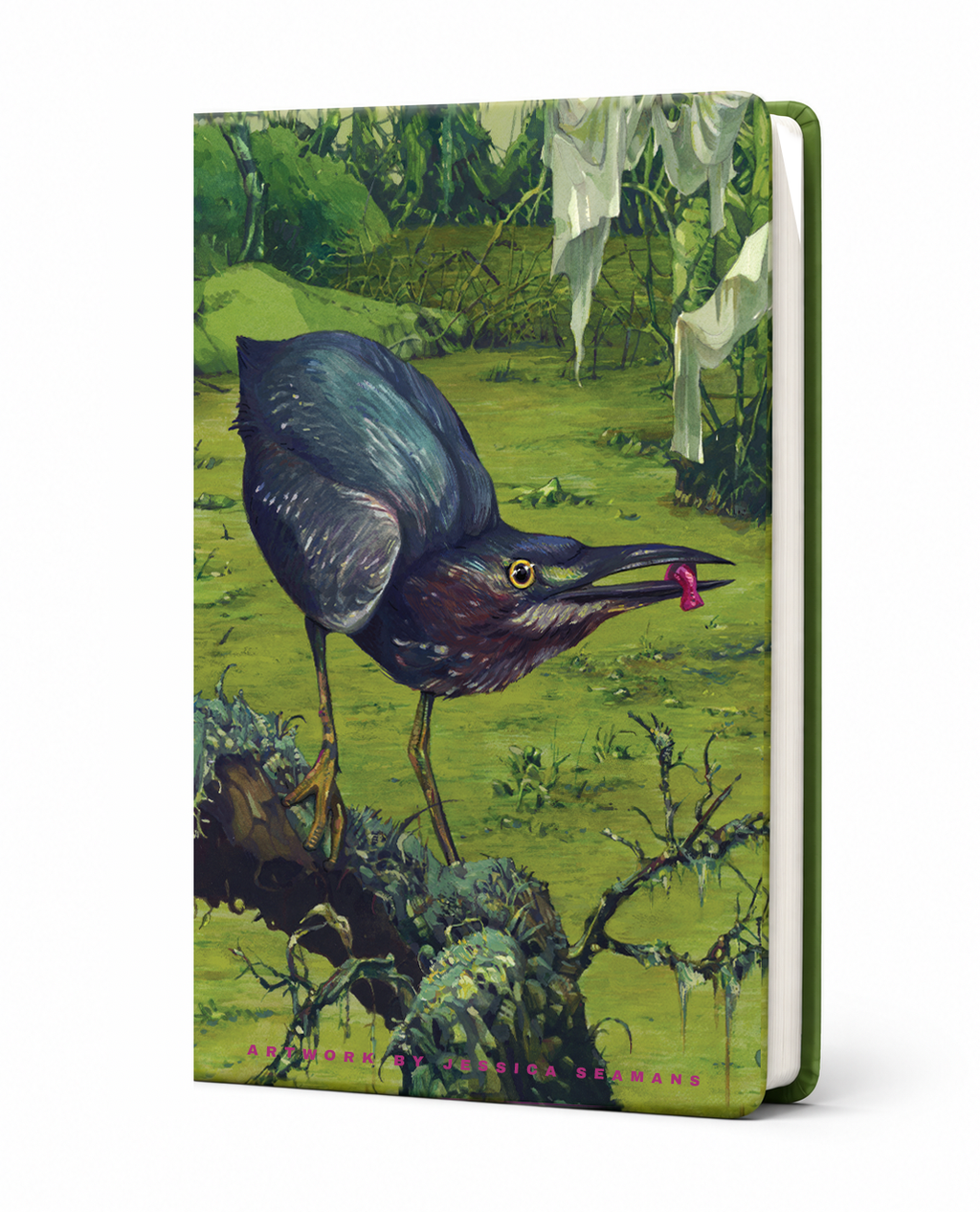 Jessica Seamans- Green Heron