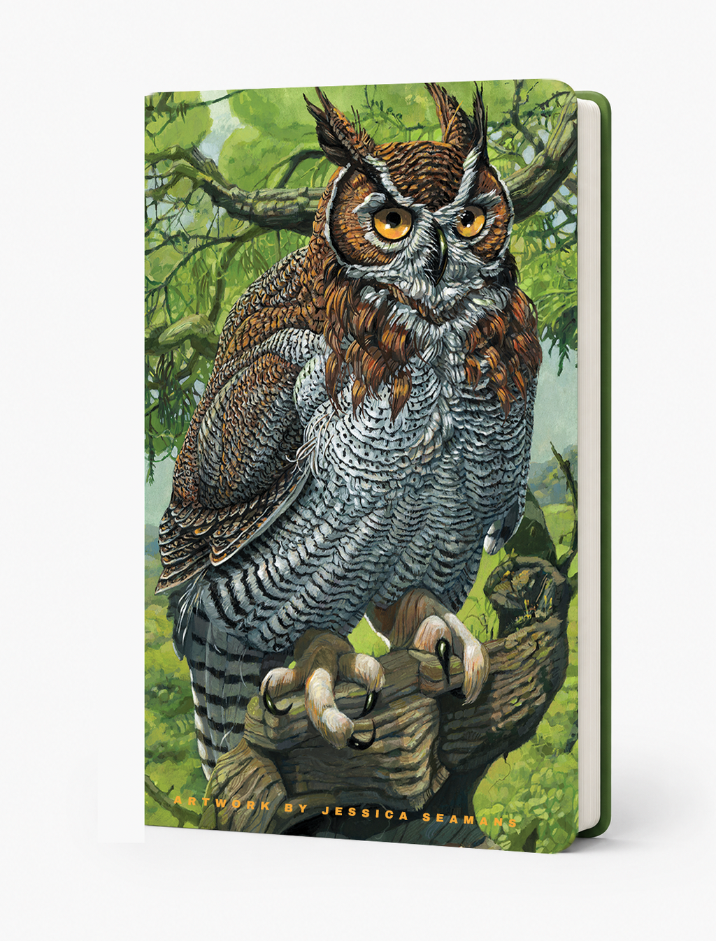 Jessica Seamans- Great Horned Owl