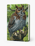 Jessica Seamans- Great Horned Owl